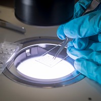 There are 21 active research projects in the Charles Institute of Dermatology.